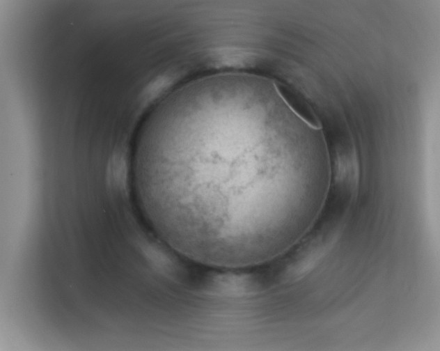 X0000113900444200909241440