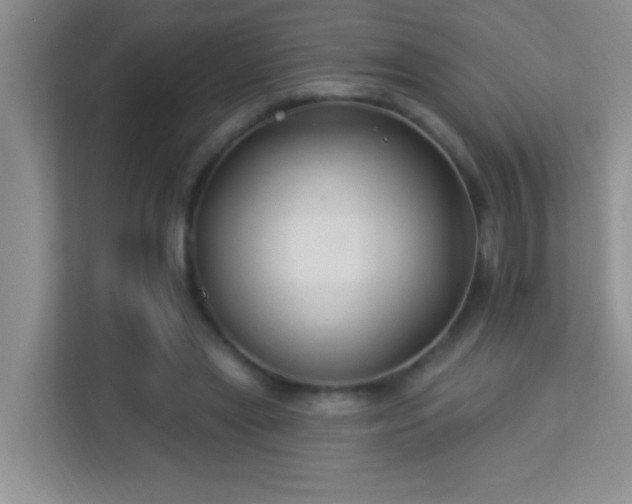 X0000113900445200909241440