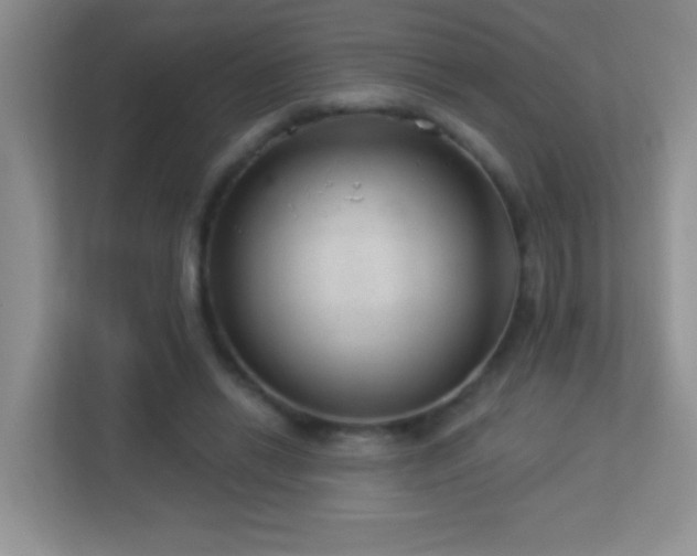 X0000113900446200909241440