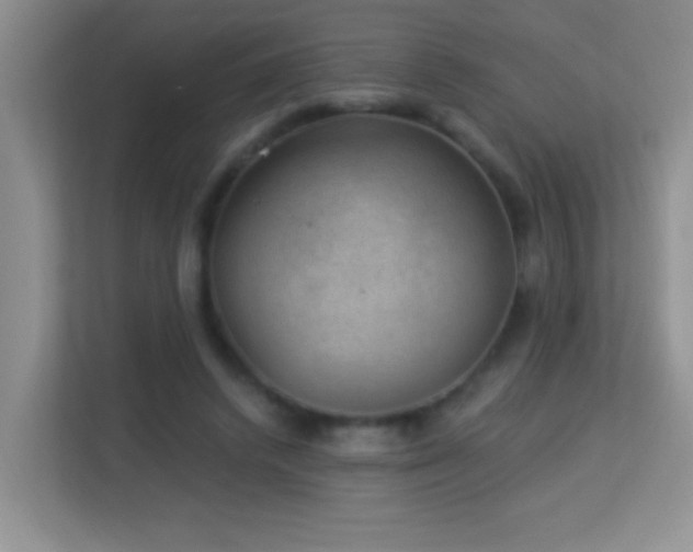 X0000113900448200909241440