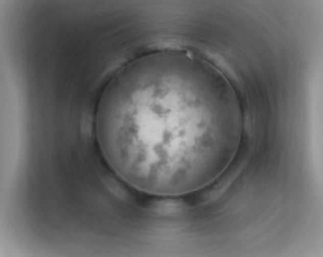 X0000113900449200909241440