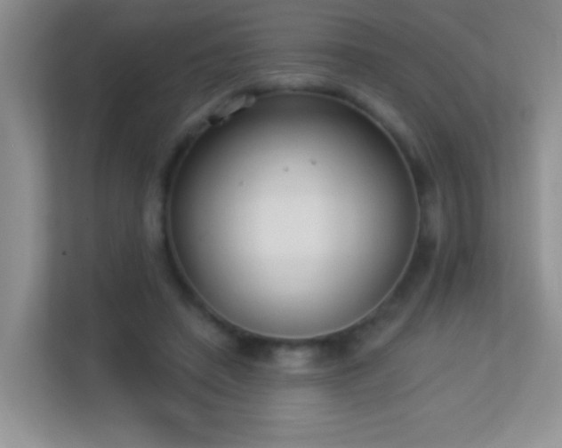 X0000113900450200909241440