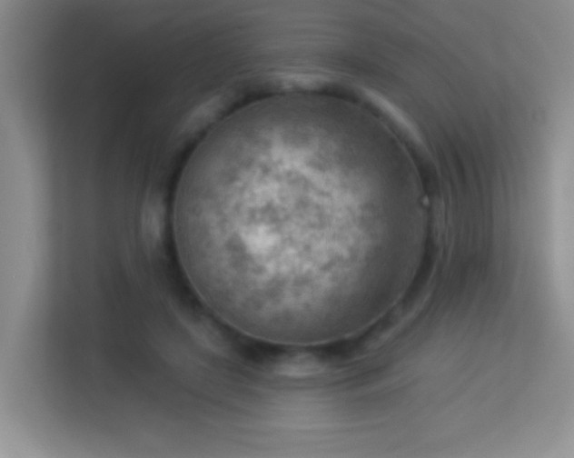 X0000113900451200909241440