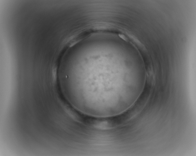 X0000113900454200909241441