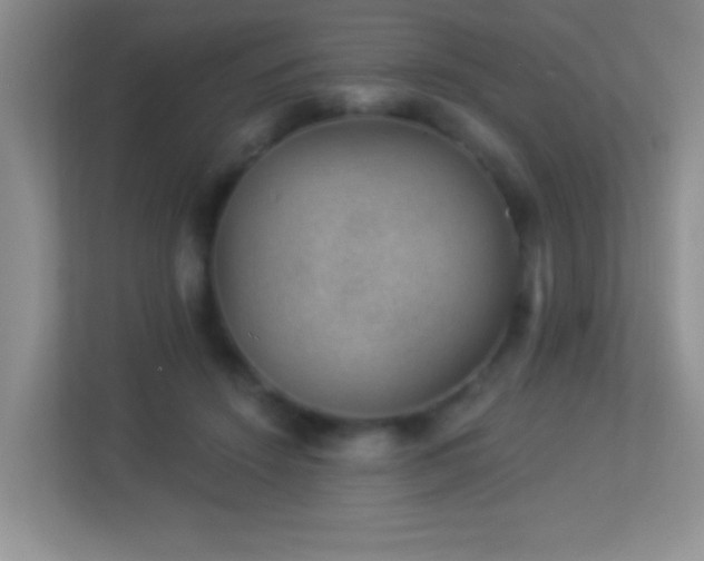X0000113900456200909241441