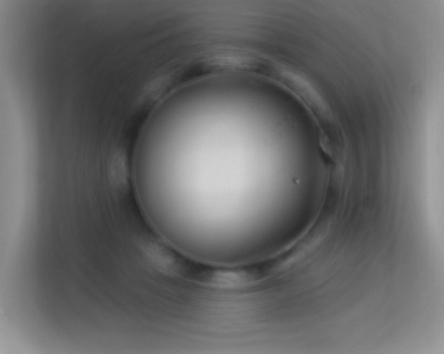 X0000113900457200909241441