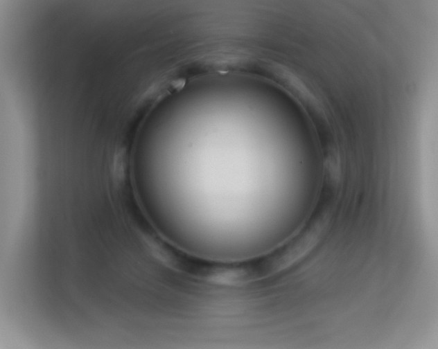 X0000113900458200909241441