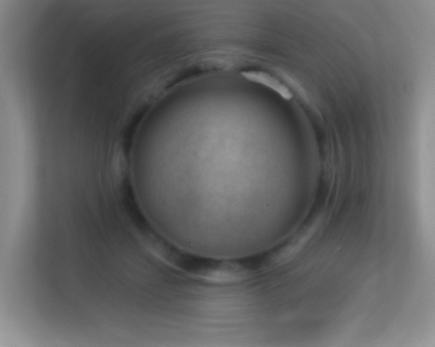 X0000113900459200909241441