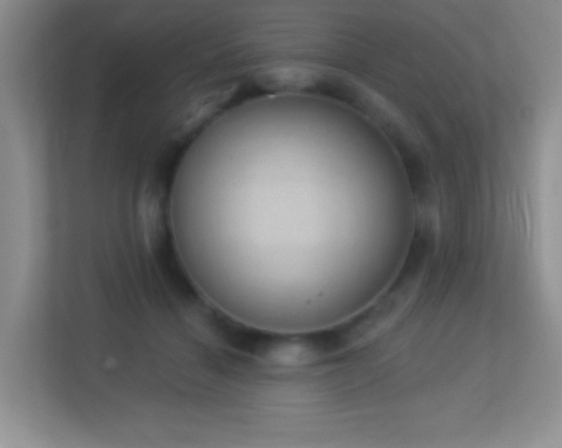 X0000113900460200909241441