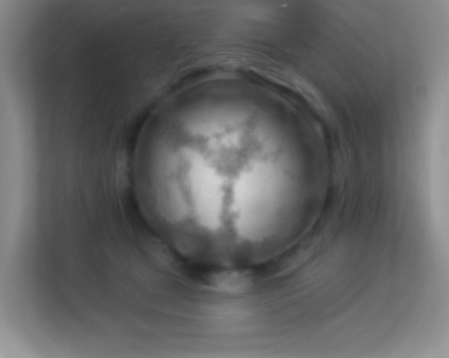X0000113900465200909241441
