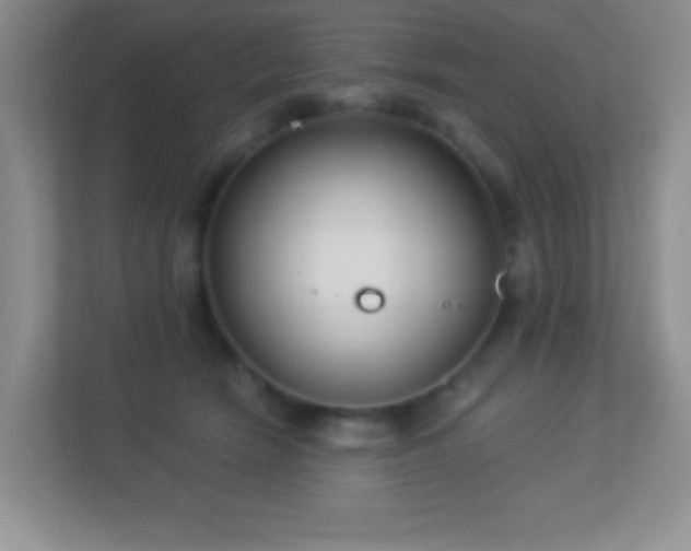 X0000113900466200909241441