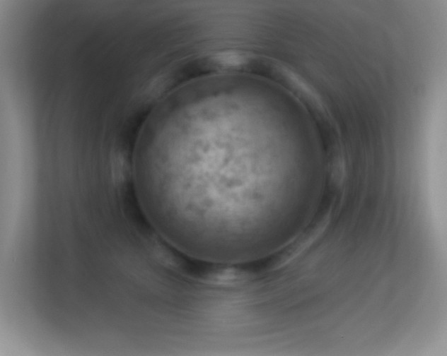 X0000113900467200909241441