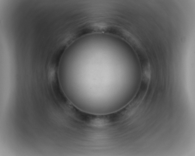 X0000113900468200909241441