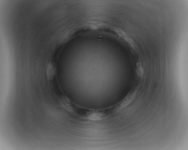 X0000113900471200909241441