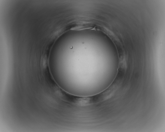 X0000113900474200909241441