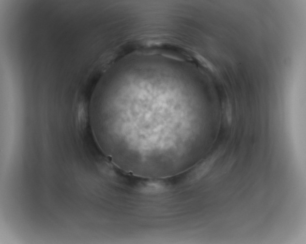 X0000113900475200909241441