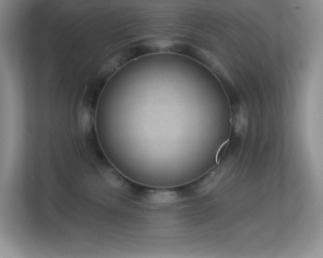 X0000113900476200909241441