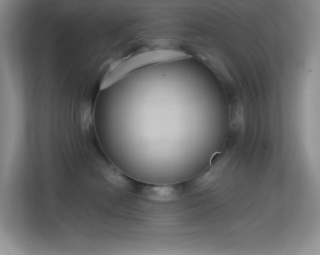 X0000113900478200909241441