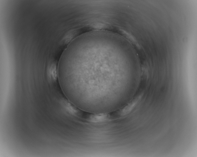 X0000113900479200909241441