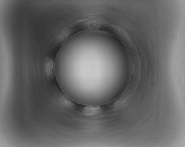X0000113900480200909241441