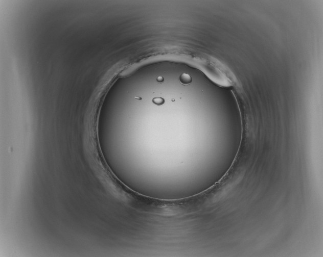 X0000113900481200909241440
