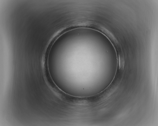X0000113900483200909241440