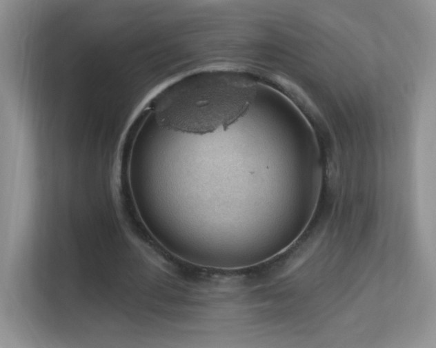 X0000113900484200909241440