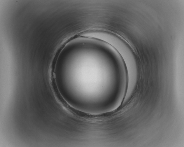 X0000113900485200909241440