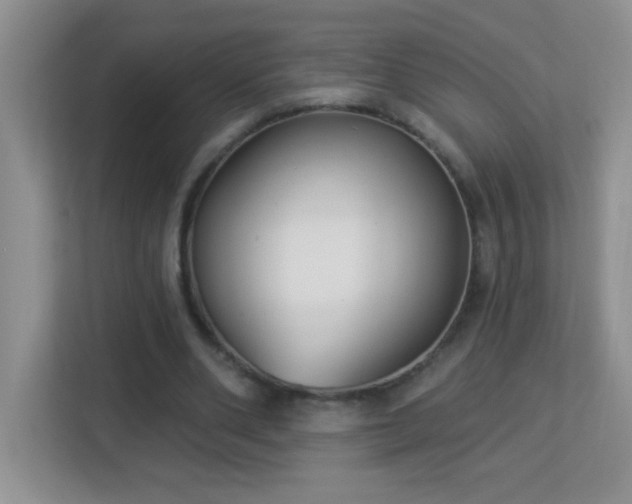 X0000113900486200909241440