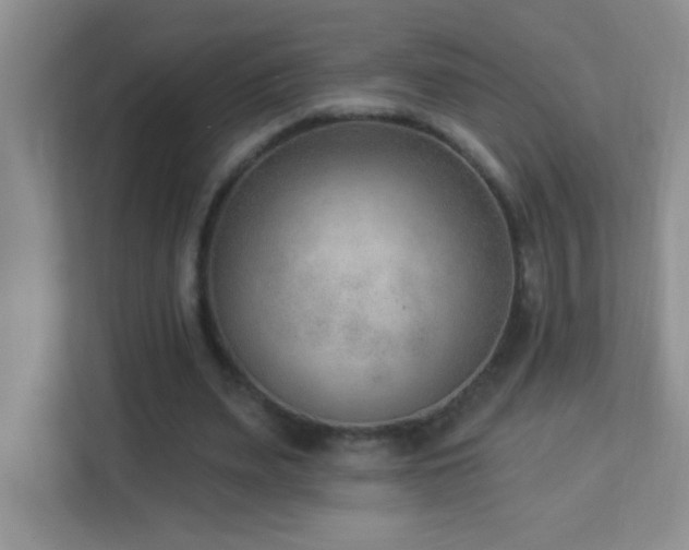 X0000113900487200909241440