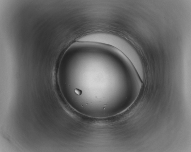X0000113900489200909241440