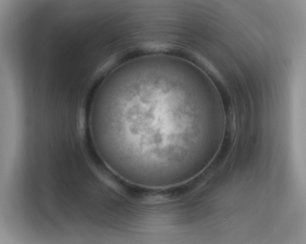 X0000113900494200909241440