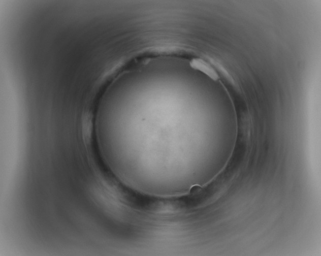 X0000113900495200909241440