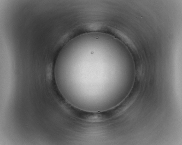 X0000113900497200909241440