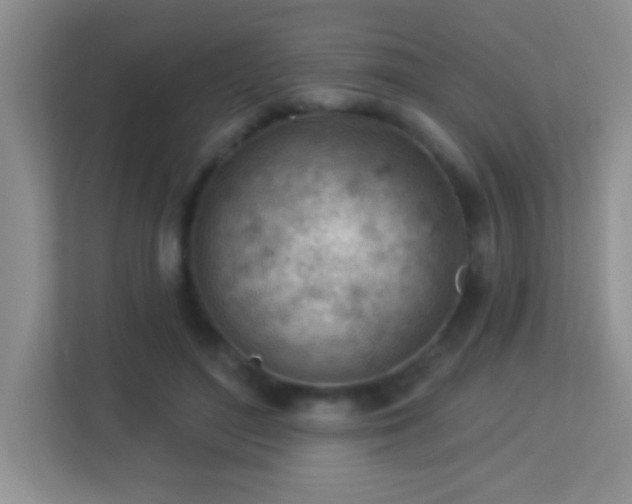 X0000113900500200909241440