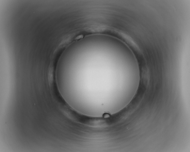 X0000113900501200909241440