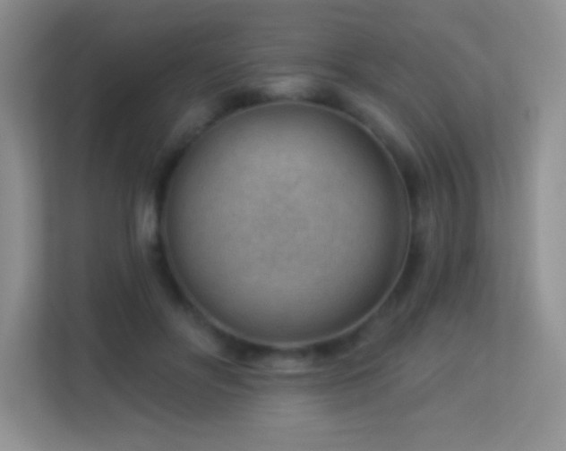X0000113900502200909241440