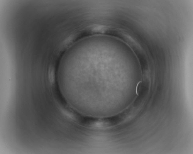 X0000113900504200909241440