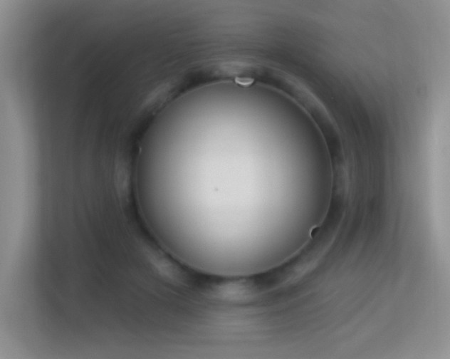 X0000113900505200909241440