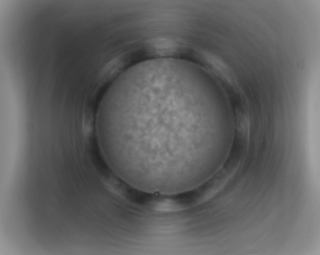 X0000113900507200909241440
