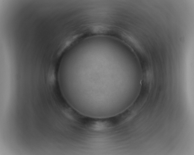 X0000113900508200909241440