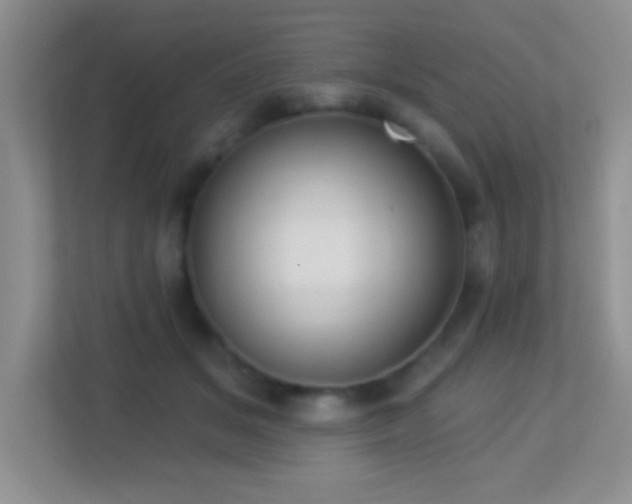 X0000113900509200909241440
