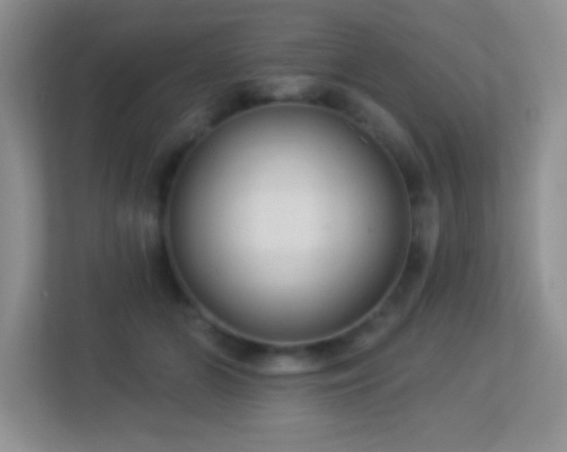 X0000113900510200909241440