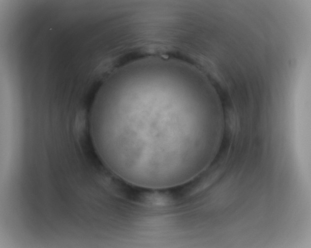 X0000113900511200909241440
