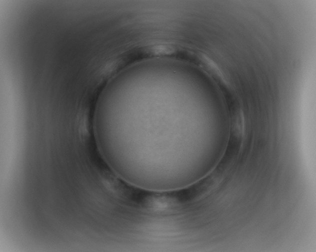 X0000113900512200909241440