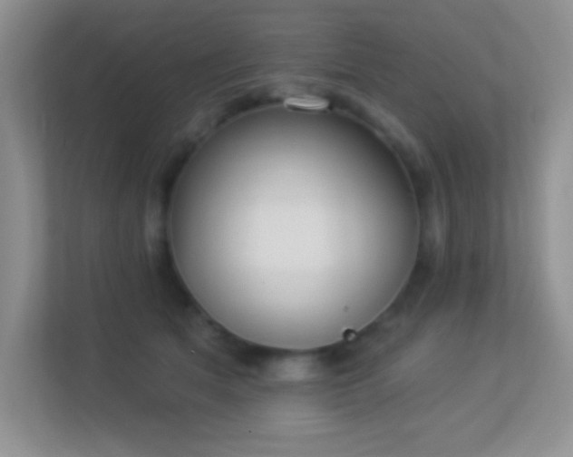 X0000113900513200909241440