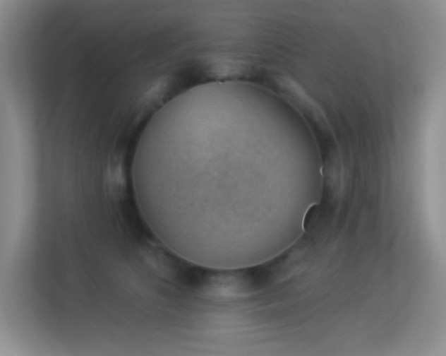 X0000113900516200909241440