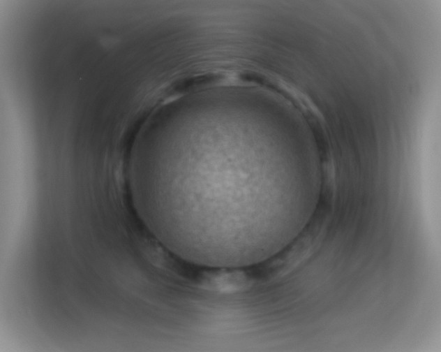 X0000113900517200909241440