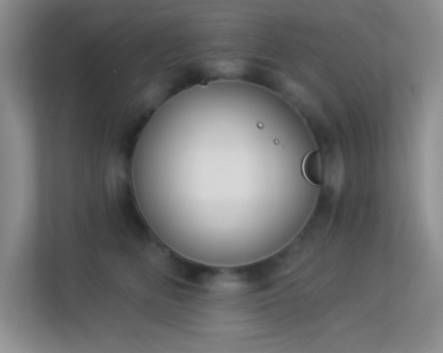 X0000113900518200909241440