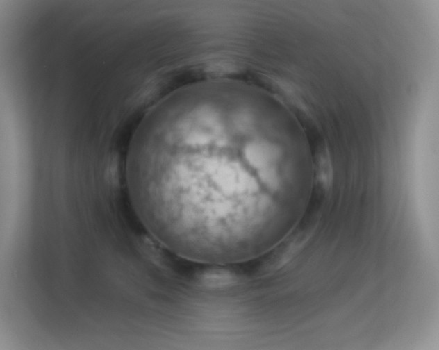 X0000113900519200909241440